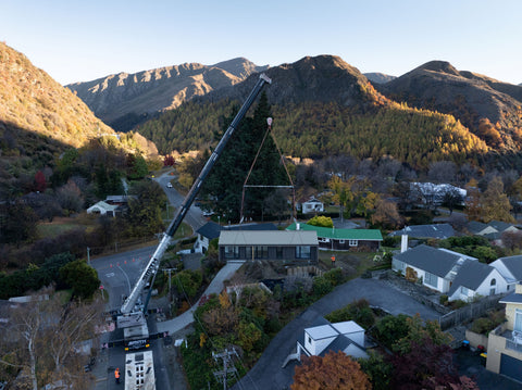 Arrowtown - Pōhutukawa