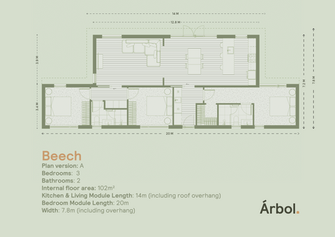 Beech