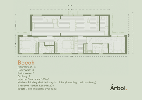 Beech
